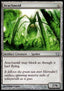 Arachnoid