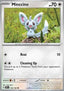 Minccino