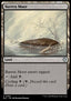 Barren Moor