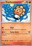 Castform Sunny Form