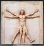 Vitruvian Man Table Museum Figma
