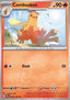 Combusken
