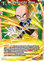 Destructo Disk