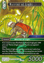 Warrior of Light (28-039)