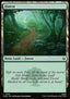 Forest (V.1)