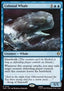 Colossal Whale