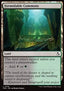 Formidable Commons