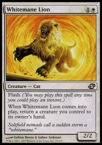 Whitemane Lion