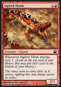 Sigiled Skink