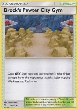 Brock's Pewter City Gym Immagine principale del prodotto