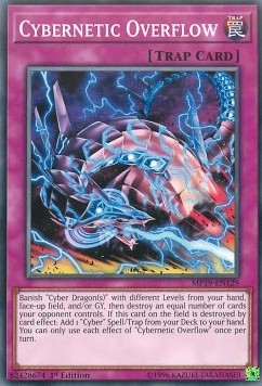 Cybernetic Overflow Immagine principale del prodotto
