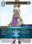 Fencer (11-038)