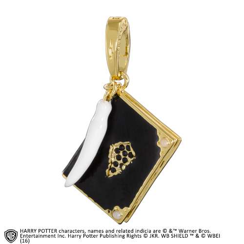 Hp Lumos Charm 11 Tom Riddle Diary Immagine principale del prodotto