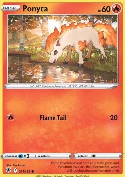 Ponyta Immagine principale del prodotto
