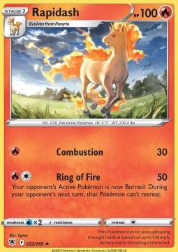 Rapidash Immagine principale del prodotto