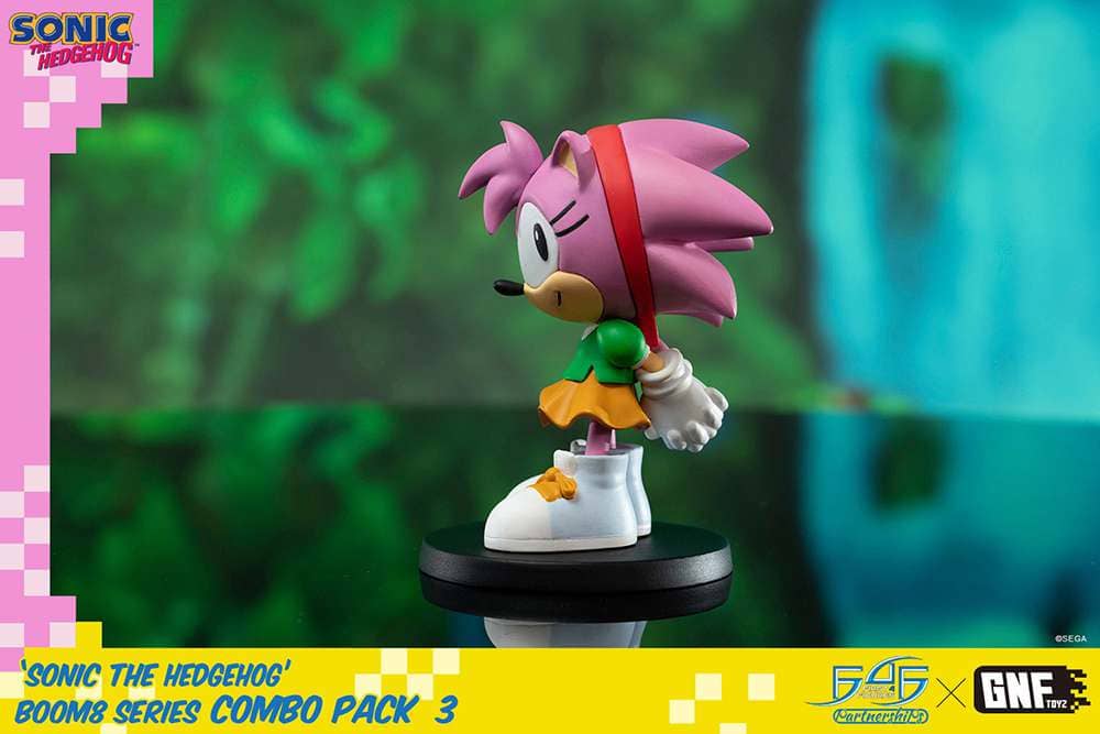 Sonic Boom8 Series Vol.5 Amy