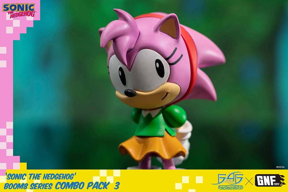 Sonic Boom8 Series Vol.5 Amy