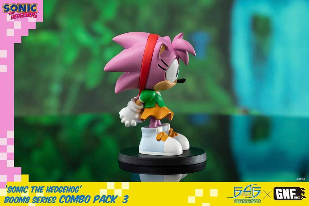 Sonic Boom8 Series Vol.5 Amy