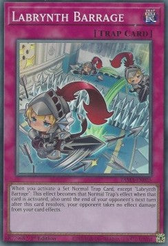 Labrynth Barrage Immagine principale del prodotto