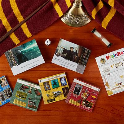 Brainbox Harry Potter