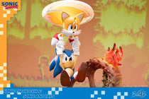 Sonic The Hedgehog Sonic And Tails St