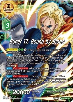 Super 17, Bound by Blood Immagine principale del prodotto