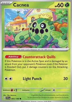 Cacnea Immagine principale del prodotto