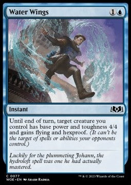 Water Wings Immagine principale del prodotto