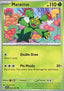 Maractus