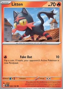 Litten Immagine principale del prodotto