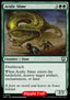 Acidic Slime
