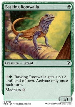 Basking Rootwalla Immagine principale del prodotto