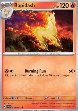 Rapidash Immagine principale del prodotto