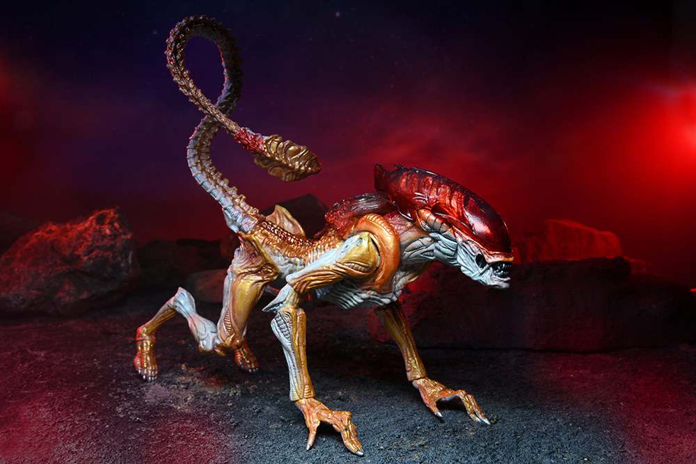 Aliens Kenner Panther Alien Af