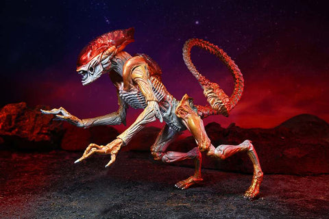 Aliens Kenner Panther Alien Af