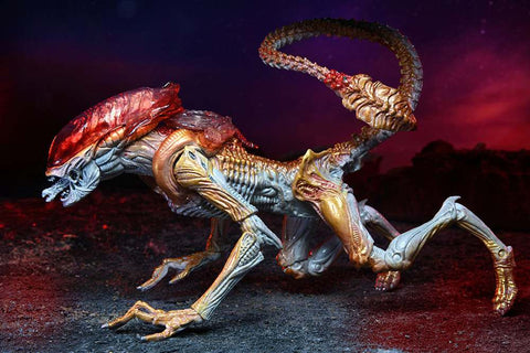 Aliens Kenner Panther Alien Af