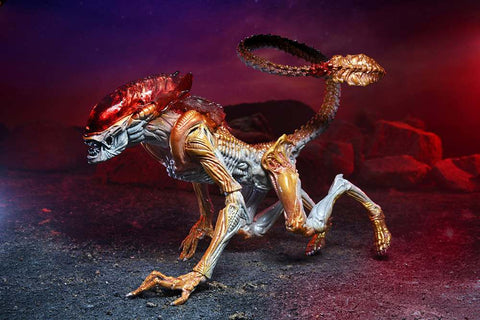 Aliens Kenner Panther Alien Af