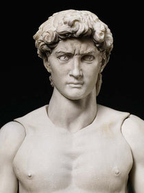 David By Michelangelo Table Museum Figma