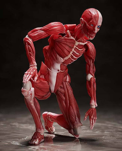 Human Anatomical Model Figma Af