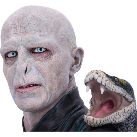 Harry Potter-Lord Voldemort Bust