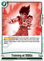 Training at 100Gs (FB05-069) [Fusion World]