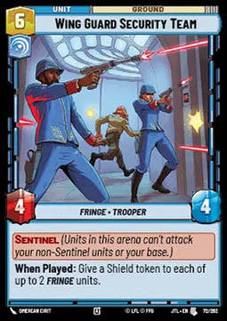 Wing Guard Security Team