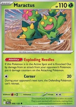 Maractus Immagine principale del prodotto