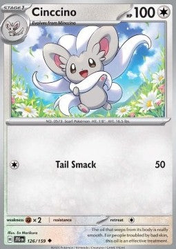 Cinccino Immagine principale del prodotto