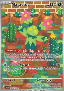 Maractus Immagine principale del prodotto