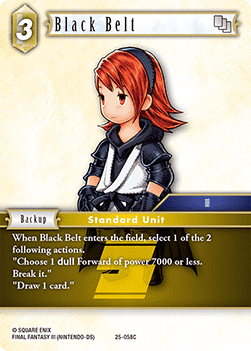 Black Belt (25-058)