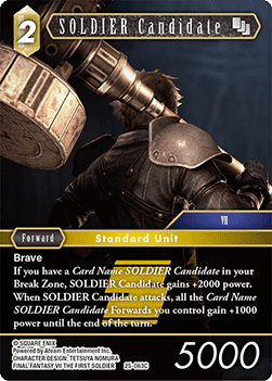 SOLDIER Candidate (25-063)