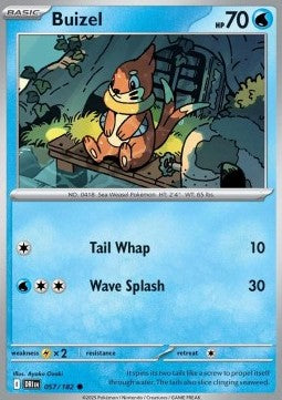 Buizel Immagine principale del prodotto