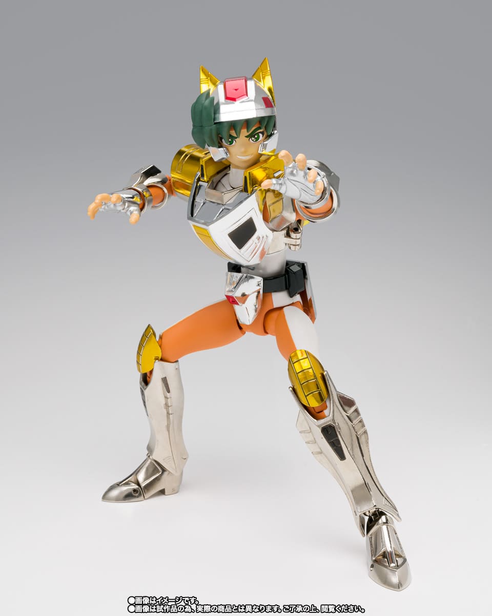 Steel Saint Landcloth Daichi Revival Immagine principale del prodotto