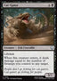 Cat-Gator